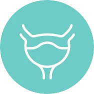 icon-ourodoxos-kysti-01